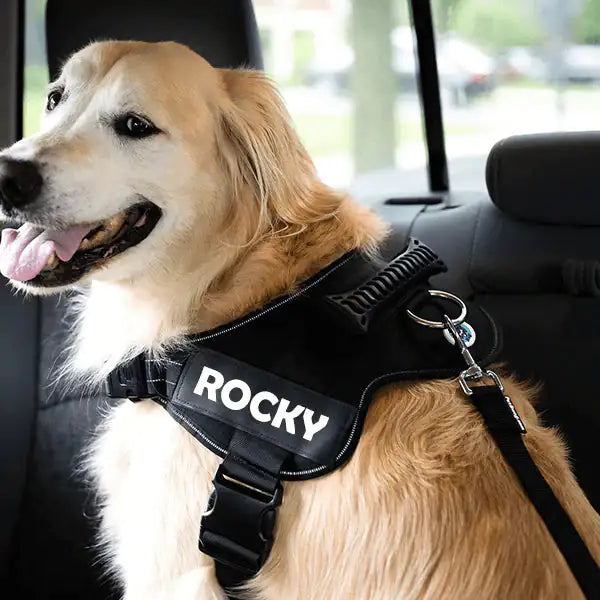 KittyandDog™ Adjustable Dog Safety Seat Belt